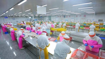 好品山東|穿越疫情,中國最大海產品加工外貿企業如何練就九條命